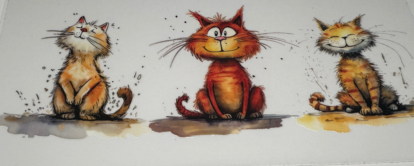 526 Cats