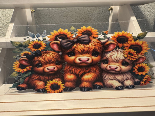 143 Cows
