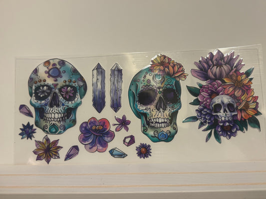 242 Skull skeleton