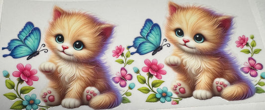 575 Cats