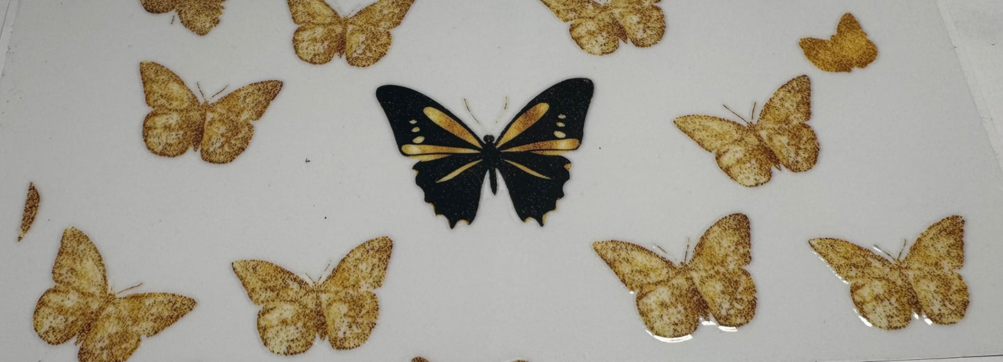 576 Butterfly