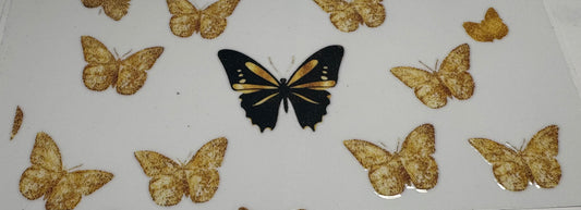 576 Butterfly