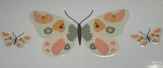 578 Butterfly